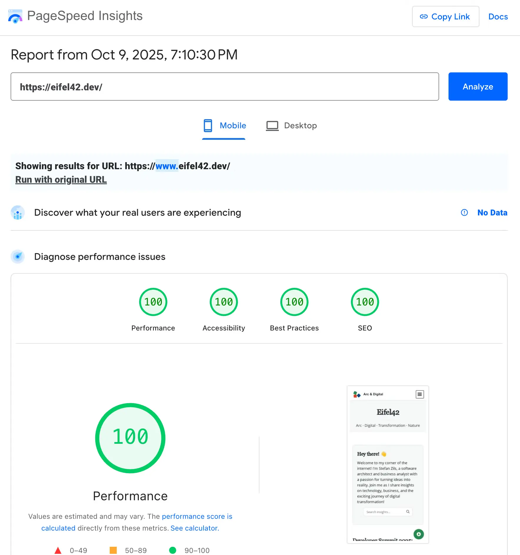 Lighthouse Performance Score 100 for Mobile