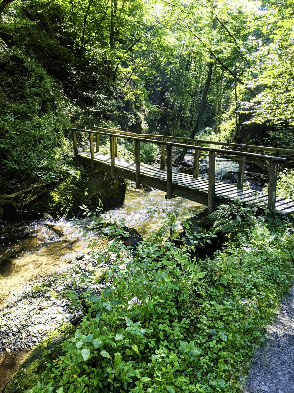 Bridge crossing the Wilde Endert in the Endertbachtal